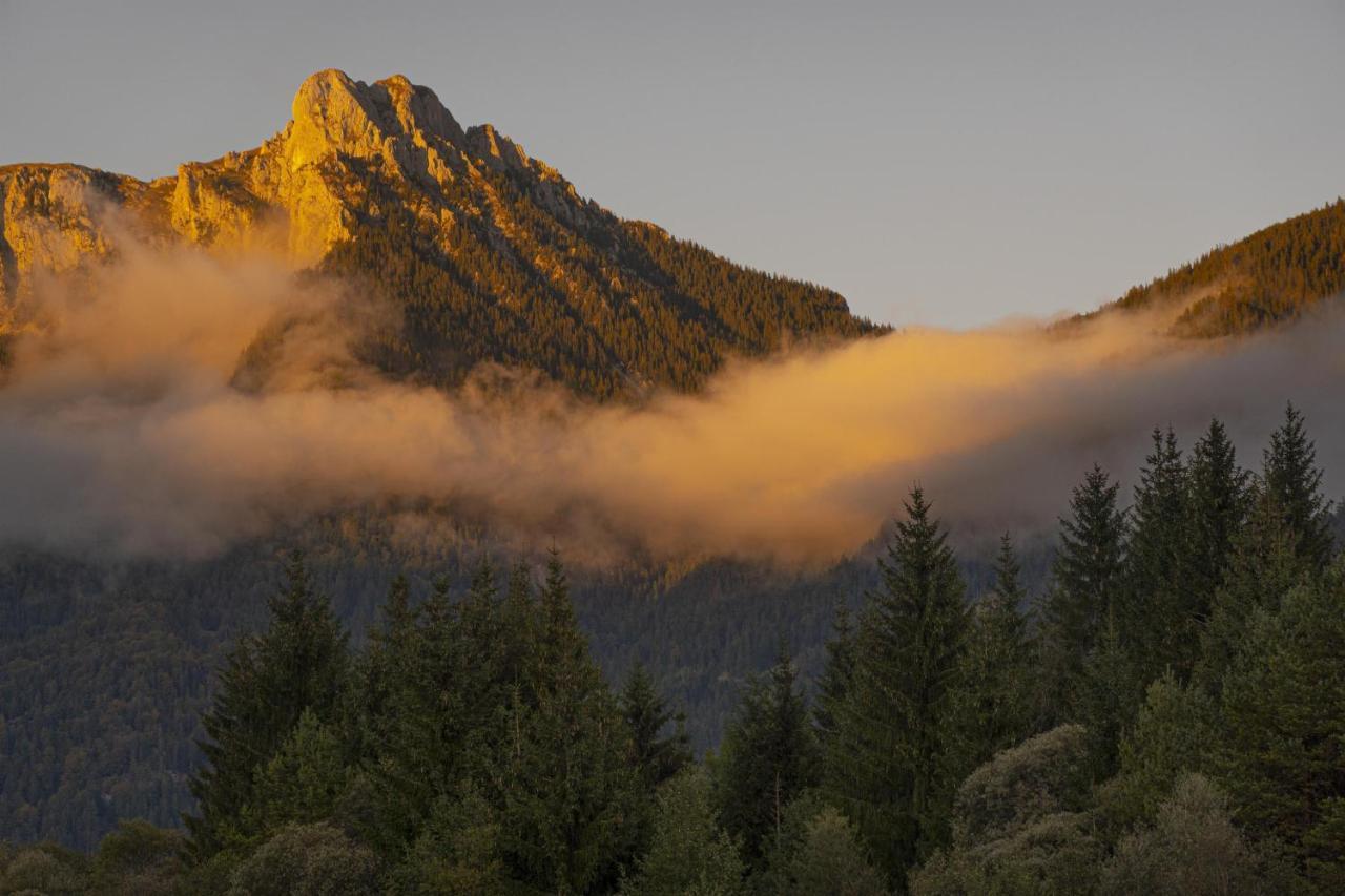 Gori Boutique Apartments - Tirol Reutte Εξωτερικό φωτογραφία